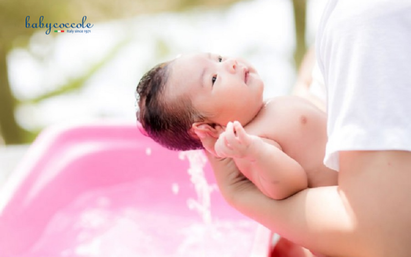 dầu gội trị cứt trâu